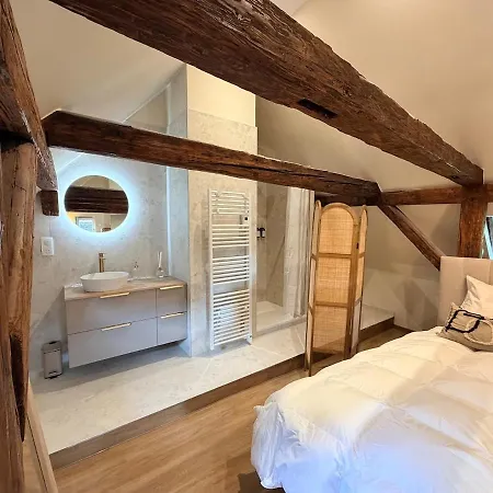 Amande Duplex Apartment Colmar