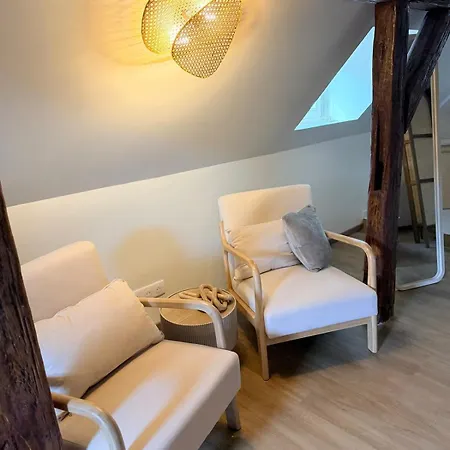 Amande Duplex Apartment Colmar